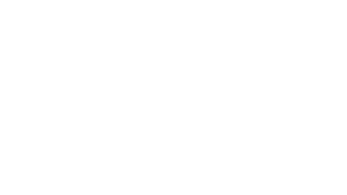 partner 00 w