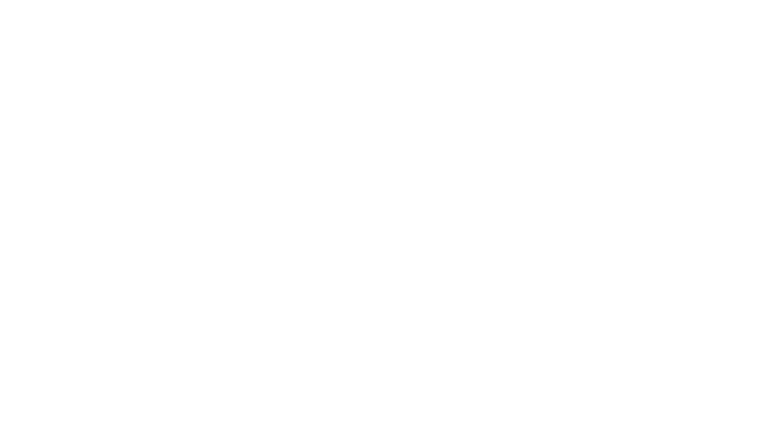 partner 01 w