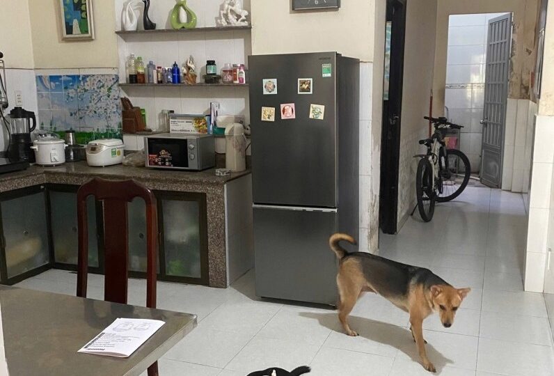 Mua bán nhà đất đường Hồ Bá Phấn, Phước Long A, Quận 9