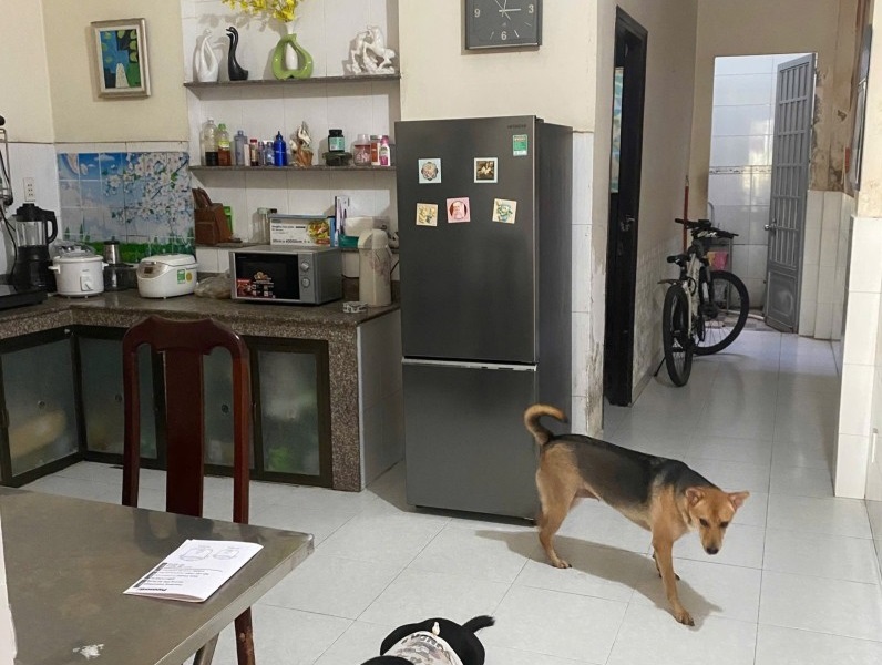 Mua bán nhà đất đường Hồ Bá Phấn, Phước Long A, Quận 9