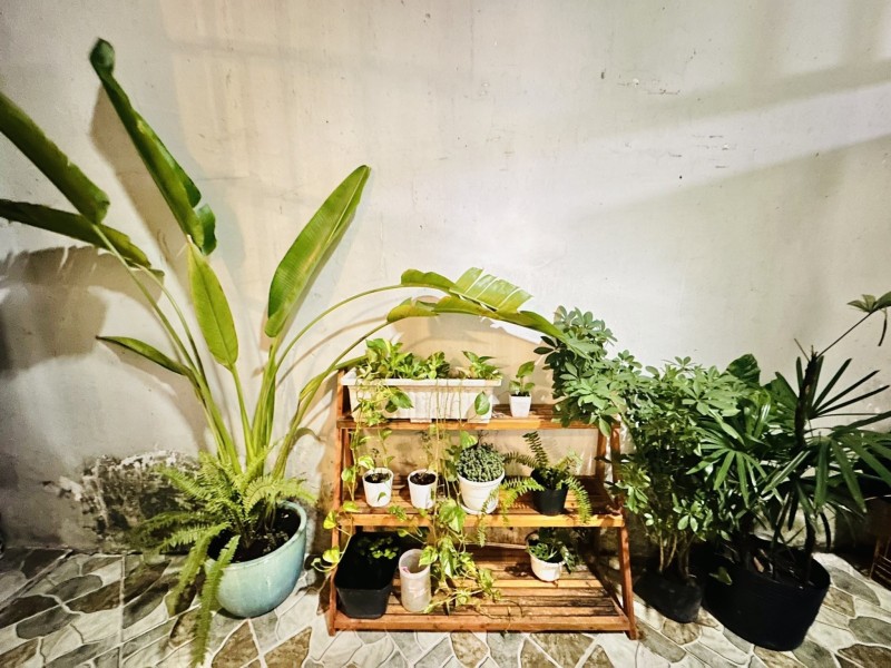 Bán nhà hẻm Đường số 176, Phước Long A, Quận 9