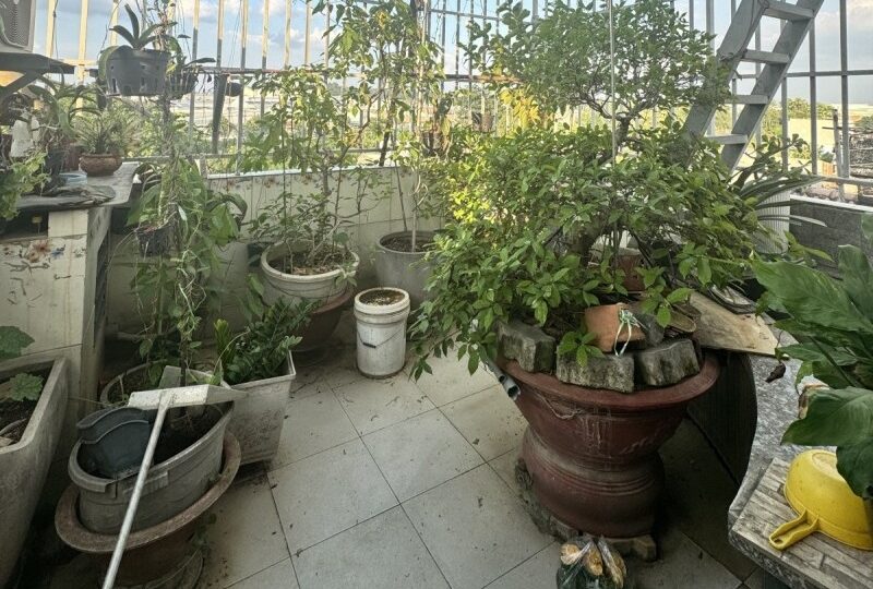 Mua bán nhà đất đường số 22, Phước Long B, Quận 9