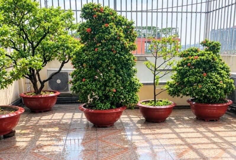 Mua bán nhà đất đường số 672, Phước Long B, Quận 9