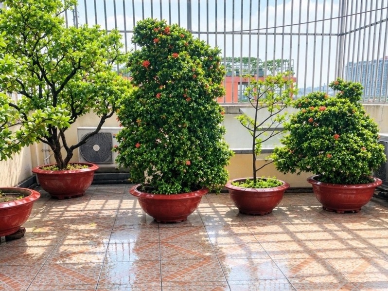Mua bán nhà đất đường số 672, Phước Long B, Quận 9