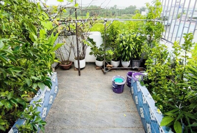 Mua bán nhà đất hẻm 41 đường Gò Cát, Phú Hữu, Quận 9