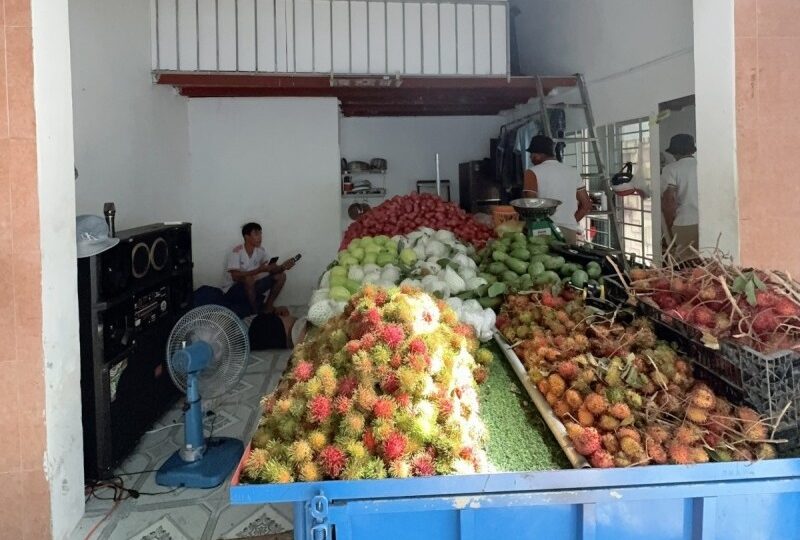 Mua bán nhà đất Đường Lê Đình Quản, Cát Lái, Quận 2