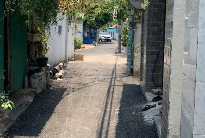 Mua bán nhà đất Đại lộ 3, Phước Bình, Quận 9 1 Mua bán nhà đất Đại lộ 3, Phước Bình, Quận 9