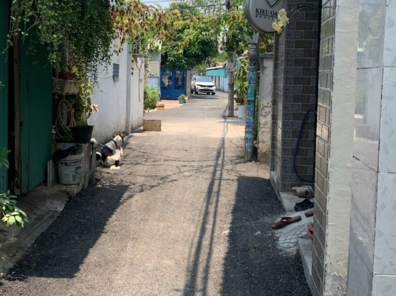 Mua bán nhà đất Đại lộ 3, Phước Bình, Quận 9