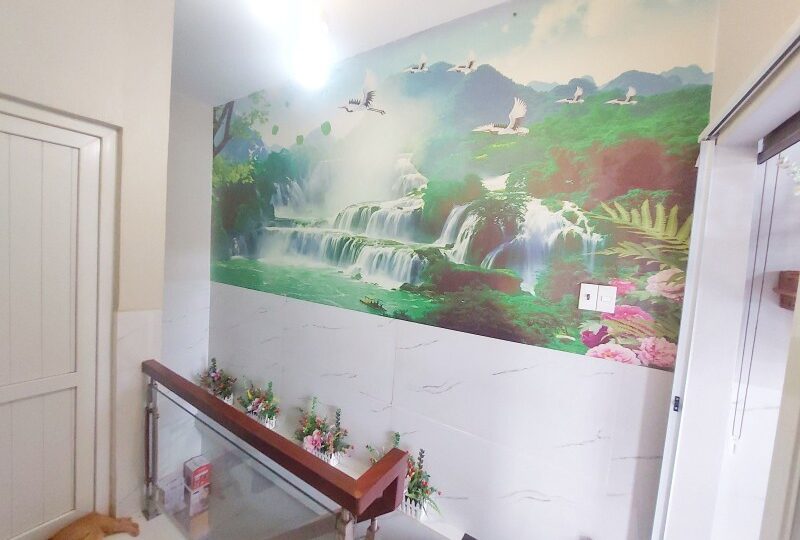 Mua bán nhà đất Đường Nguyễn Bá Luật, Bình Thọ, Thủ Đức