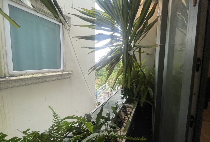 Mua bán nhà đất Đường Trương Văn Thành, Hiệp Phú, Quận 9
