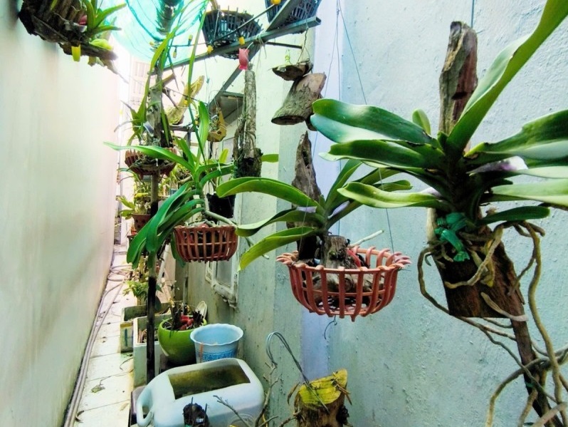 Mua bán nhà đất Đường số 275, Hiệp Phú, Quận 9