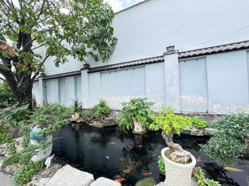 Mua bán nhà đất đường Tân Hòa 2, Hiệp Phú, Quận 9