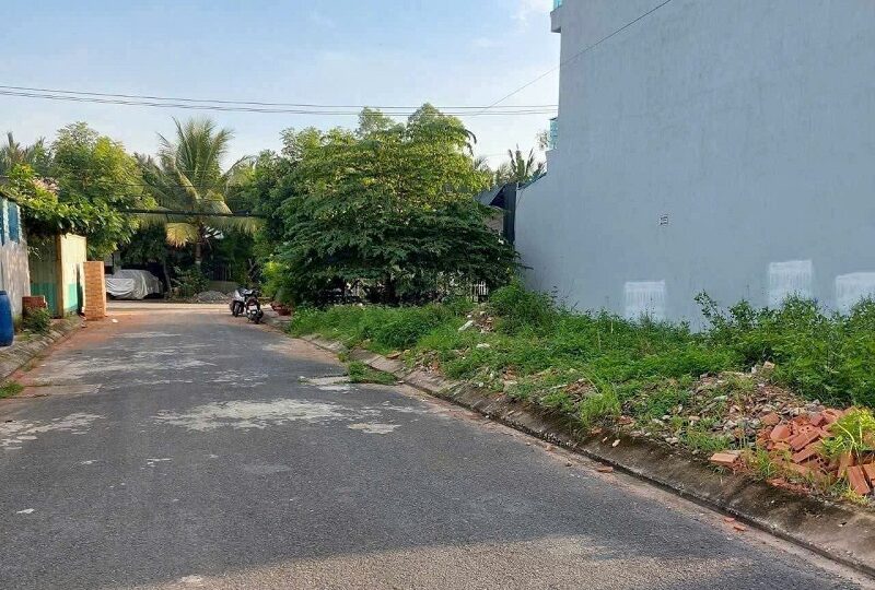 Mua bán nhà đất đường Tam Đa, Trường Thạnh, Quận 9