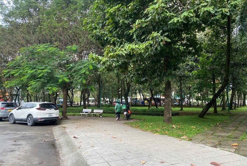 Mua bán nhà đất đường số 56, Bình Trưng Đông, Quận 2